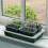 Garland Fab 4 Electric Propagator (EU Plug) 2
