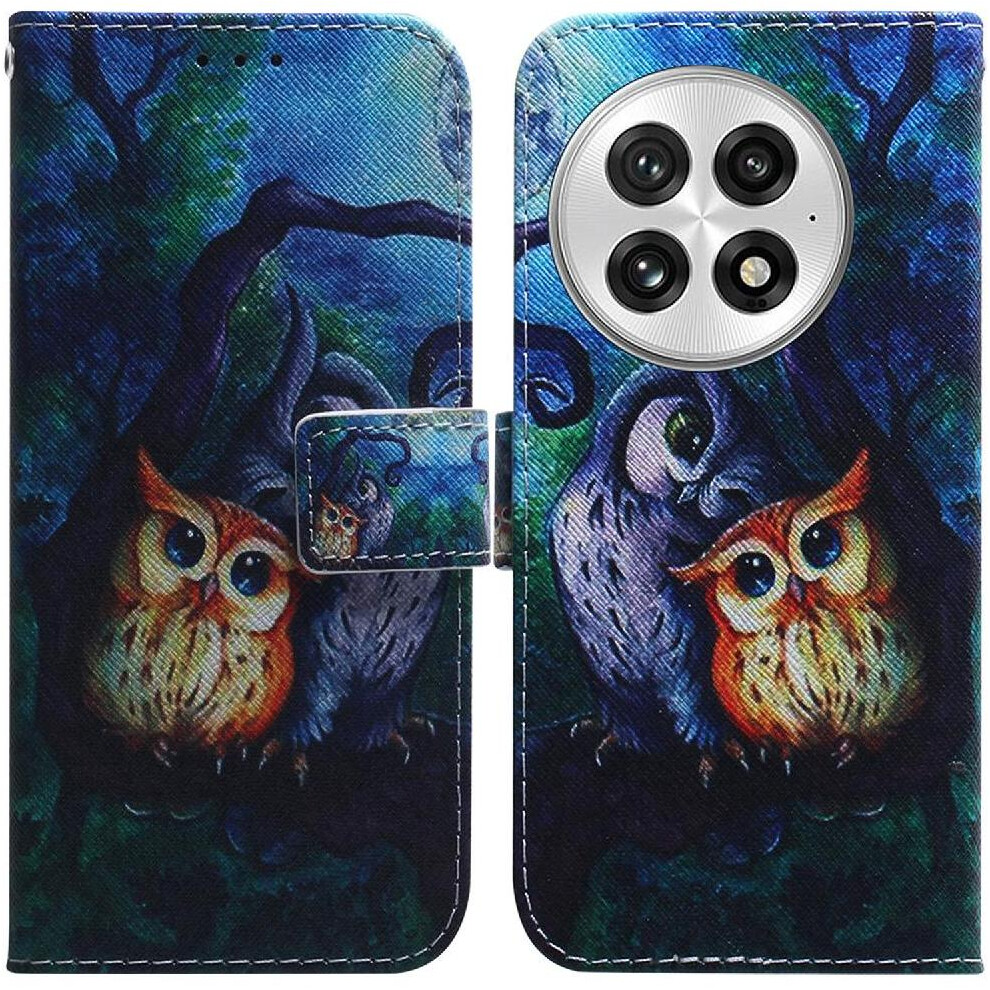 (C2) Flip Case For Oneplus 13 Magnetic Closure Wallet Card Slots Pu Leather Painted 764544150408