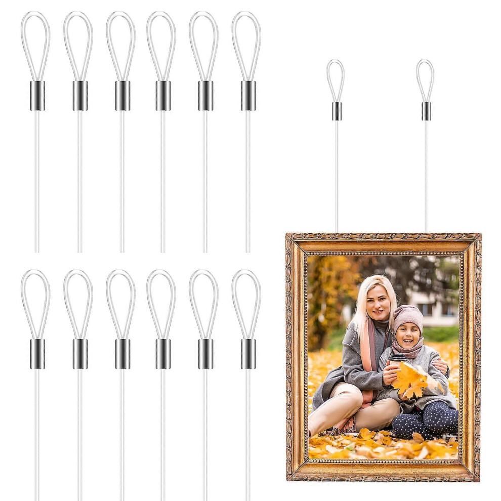 (As Show, One Size) 12Pcs Hanging Wires Clear Picture Wires Picture Hanging Cords Clothesline Wire Invisible Wire Rope 1.5M 6974185866604
