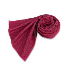 (Red) Cooling Quick Drying Towel Outdoor Cooling Towel Fabric Quick-Drying Sports Towel