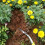 (5PCS) 5/9PCS Garden Tool Bag Toolbag Manual Gardening Planting Hand Fork Digging Tool 8