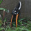Secateurs Carbon Steel Blade Pruning Shears 12