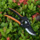 Secateurs Carbon Steel Blade Pruning Shears 13