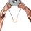 (Gold) Steel Blade Secateurs 6