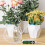 (2PCS) Smart Automatic Plant Waterer Drip Irrigation System with 40-Day Programmable Timer LED Display USB Power Timed Watering Device 5