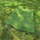 Selections 20mm Pile Artificial Lawn Grass (4m x 1m) 2