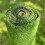 Selections 20mm Pile Artificial Lawn Grass (4m x 1m) 4