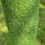 Selections 20mm Pile Artificial Lawn Grass (4m x 1m) 6