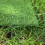 Selections 20mm Pile Artificial Lawn Grass (4m x 1m) 7