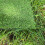 Selections 20mm Pile Artificial Lawn Grass (4m x 1m) 9
