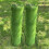 Selections 20mm Pile Artificial Lawn Grass (4m x 1m) - Pack of 2 3