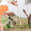 Weeder Stand-up Weed Puller Tool Hand Weeder Tool Root Remover Outdoor 4