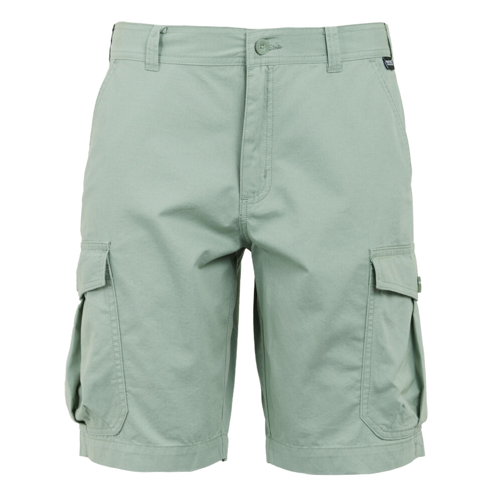 (40R, Glacier) Regatta Mens Ruwan Casual Shorts