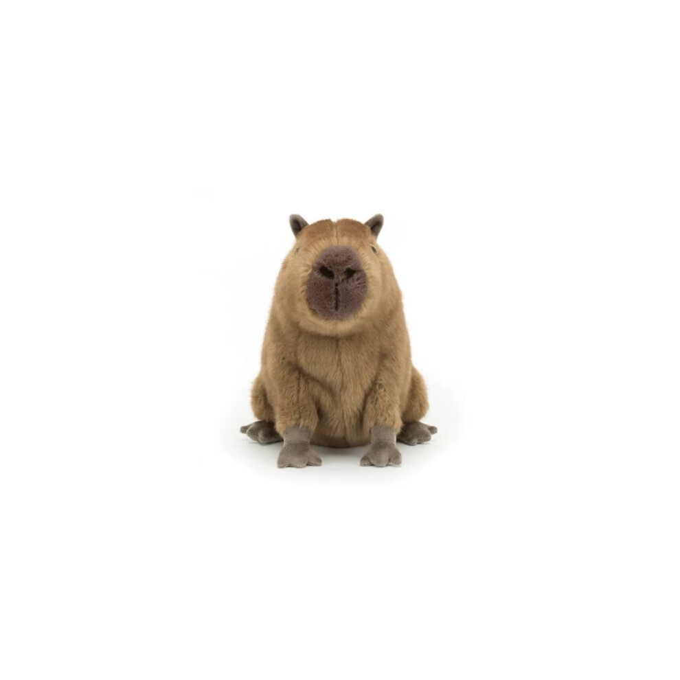 Doyarbim Capybara Plush, Stuffed Animal Toy, Gifts For Kids, 40Cm