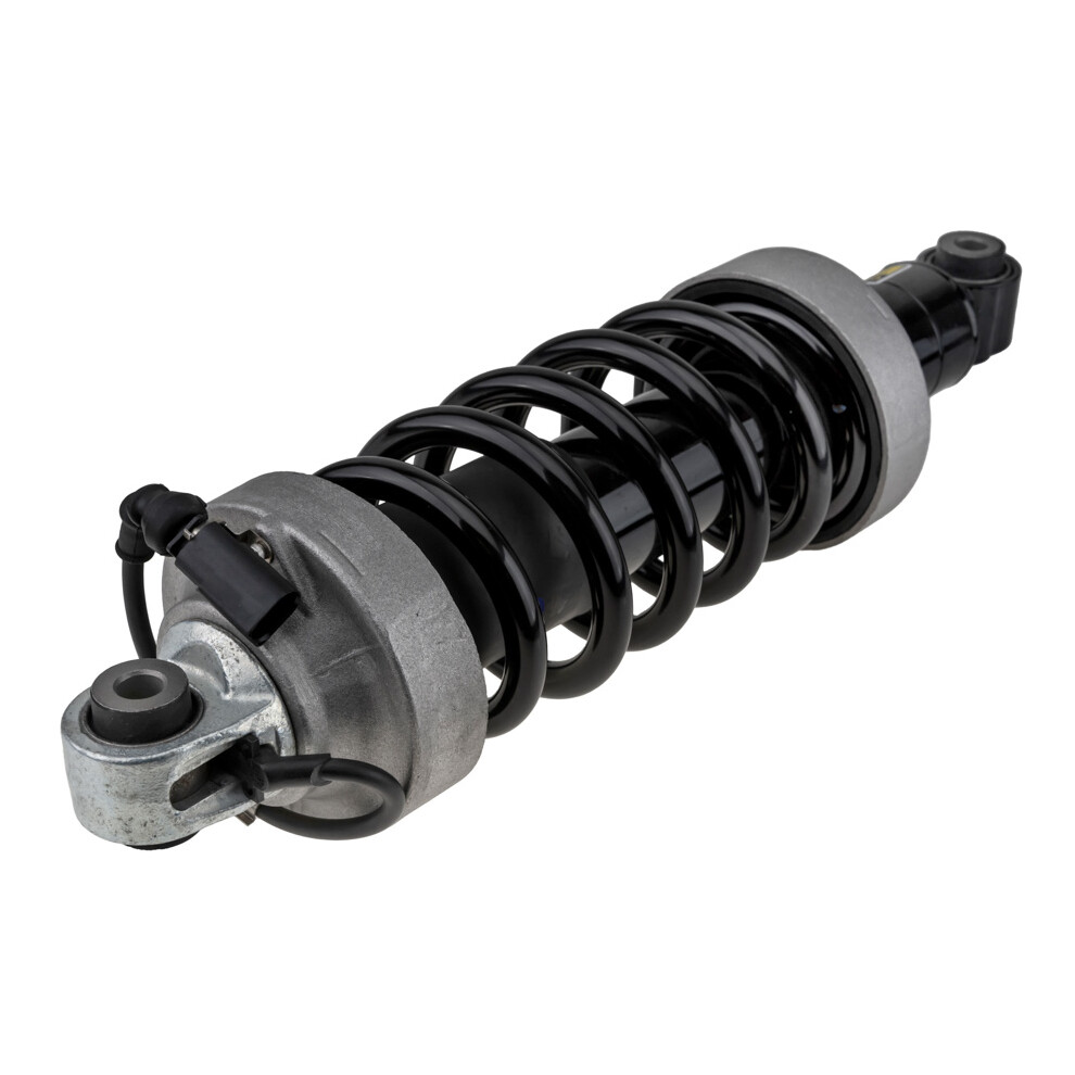 Rear Shock Absorber For Audi R8 07-15, R8 Spyder 10-15 /Left, +Amr/ 5902048329486