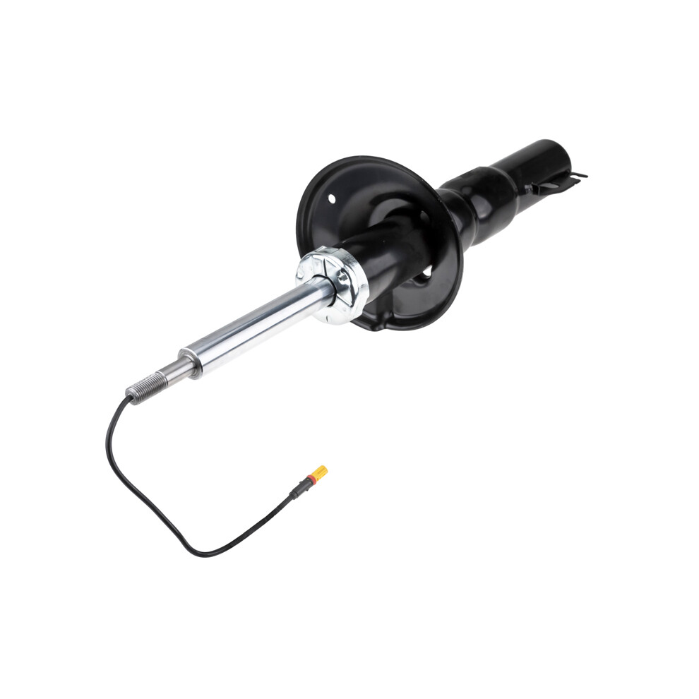 Rear Shock Absorber For Porsche Boxster,Cayman 987 04- /L=R,+Pasm/