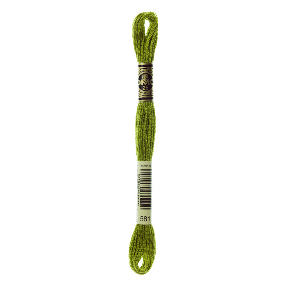DMC 117581 Six Stranded Cotton Embroidery Floss  Moss Green  87Yard