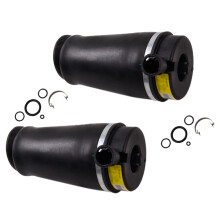 2x Aria Molla Posteriore for Ford Lincoln 2WD Aria Sospensioni Molla Borsa