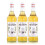 Monin Sirup Vanille, 1,0L 3er Pack 1