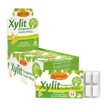 Birkengold Xylit Kaugummi Gr?ne Minze | 24 Stk. Blister | Zahnpflege-Kaugummi | zuckerfrei | hoher Xylit-Anteil 70% | vegan | ohne Titandioxid | ohne