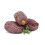 Seba Garden- Bio Medjool Datteln-2kg 3