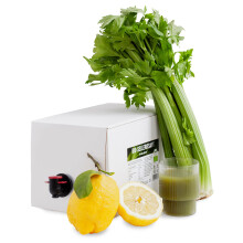 Kale and Me Bio Selleriesaft Bag-In-Box 3 Liter, Bio Sellerie Saft mit einem Hauch Zitronensaft ohne Zucker Zusatz, regionale Produktion ohne Zusatzst
