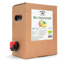 Diesdorfer Bio Ingwersaft – Direktsaft aus Ingwer (98,5%) und Zitronensaft (1,5%), vegan 100%, ohne Zucker, natürliche Schärfe