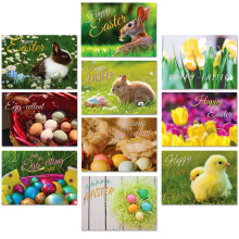 A&M Natural Living Easter Cards Pack Of 10, A6 Multipack Blank Greeting Cards With Envelopes, 10 Bunny Rabbit Flowers & Easter Egg Designs, Blank