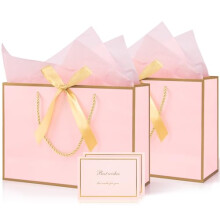 Medium Pink Gift Bag, 2pcs Present Bags with 4 Wrappers and 2 Cards, Pink Paper Bags with Handles, Birthday Gift Bags Party Bags for Girls Valentines