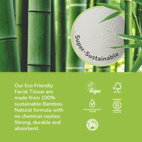 The Cheeky Panda The Cheeky Panda Bamboo Facial Tissues | 12 Cube Tissue Boxes | Soft Face Tissues | Plastic Free Tissues Box Multipack 2
