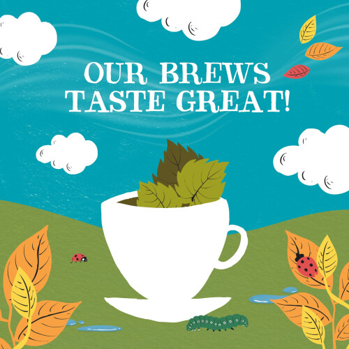 Clipper Clipper Organic Nettle Herbal Infusion Tea (20 Bags) 2