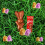 Maltesers Maltesers Chocolate Easter Bunny Treat, Easter Egg Hunt, Easter Gifts, Chocolate Gift, 29g X 32 3