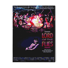 (Lord Of The Flies=8113) Canvas Print Film Retro Movie Vintage Cinema Poster DIY Framed Kit Wall Art for Living Room Bedroom Decor 16x20 inch