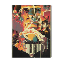 (Frankenstein Movie Art=4071) Canvas Print Film Retro Movie Vintage Cinema Poster DIY Framed Kit Wall Art for Living Room Bedroom Decor 16x20 inch
