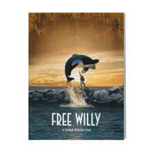 (Free Willy=3978) Canvas Print Film Retro Movie Vintage Cinema Poster DIY Framed Kit Wall Art for Living Room Bedroom Decor 16x20 inch