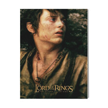 (Frodo Baggins=9679) Canvas Print Film Retro Movie Vintage Cinema Poster DIY Framed Kit Wall Art for Living Room Bedroom Decor 16x20 inch