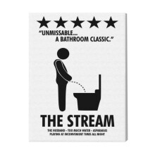 (FUNNY BATHROOM THE STREAM=3670) Canvas Print Film Retro Movie Vintage Cinema Poster DIY Framed Kit Wall Art for Living Room Bedroom Decor 16x20 inch