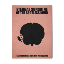 (Eternal Sunshine Of The Sp=6233) Canvas Print Film Retro Movie Vintage Cinema Poster DIY Framed Kit Wall Art for Living Room Bedroom Decor 16x20 inch