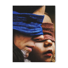 (Bird Box=635) Canvas Print Film Retro Movie Vintage Cinema Poster DIY Framed Kit Wall Art for Living Room Bedroom Decor 16x20 inch