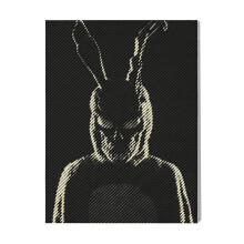 (Donnie Darko=4721) Canvas Print Film Retro Movie Vintage Cinema Poster DIY Framed Kit Wall Art for Living Room Bedroom Decor 16x20 inch