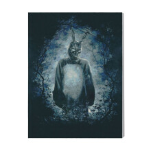 (Donnie Darko=73) Canvas Print Film Retro Movie Vintage Cinema Poster DIY Framed Kit Wall Art for Living Room Bedroom Decor 16x20 inch