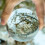 Διαφανές χρώμα Γυάλινη Κρυστάλλινη Μπάλα Healing Sphere Photography Props Διακοσμητική μπάλα 60mm 10
