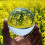 Διαφανές χρώμα Γυάλινη Κρυστάλλινη Μπάλα Healing Sphere Photography Props Διακοσμητική μπάλα 60mm 11