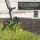 Weed Puller Stand Up Weeder Hand Tool with 4 Claws Foot Pedal Long Root Picker 8