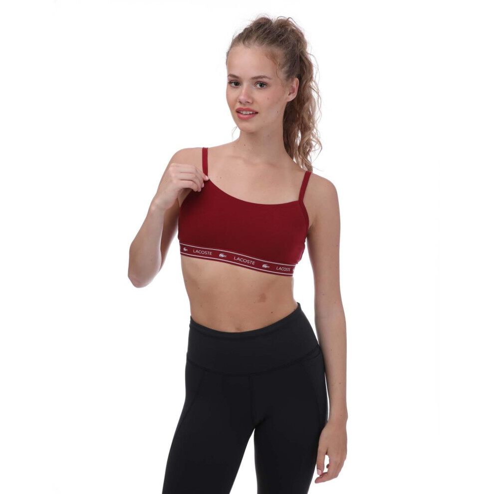 (XL, Burgundy) Lacoste Womens/Ladies Bandeau Sports Bra