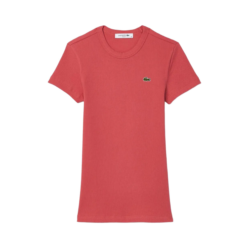 (10 UK, Red) Lacoste Womens/Ladies Ribbed Slim T-Shirt