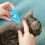 Beaphar - FIPROtec Spot-On - Kills Fleas & Ticks 4