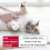 Beaphar - FIPROtec Spot-On - Kills Fleas & Ticks 7