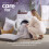 Slumberdown (Embossed Waffle, King) Back to Uni Duvet & Pillow Bundle 8