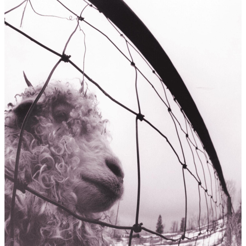 Pearl Jam 'Vs. (Remastered)' Gatefold LP 180g Black Vinyl